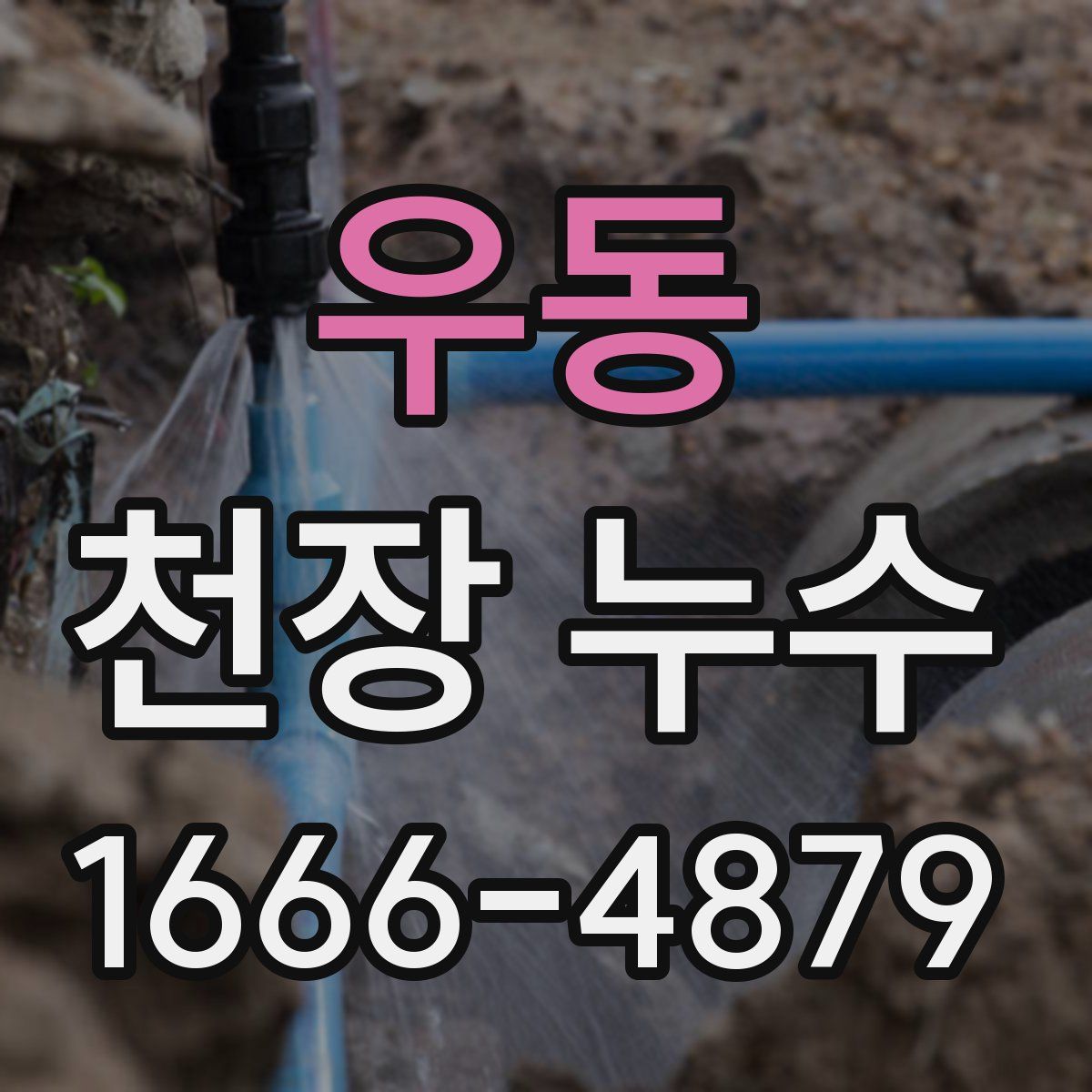 우동 천장 누수