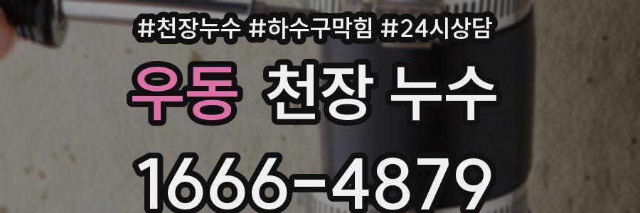 우동 천장 누수