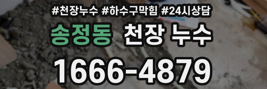 송정동 천장 누수