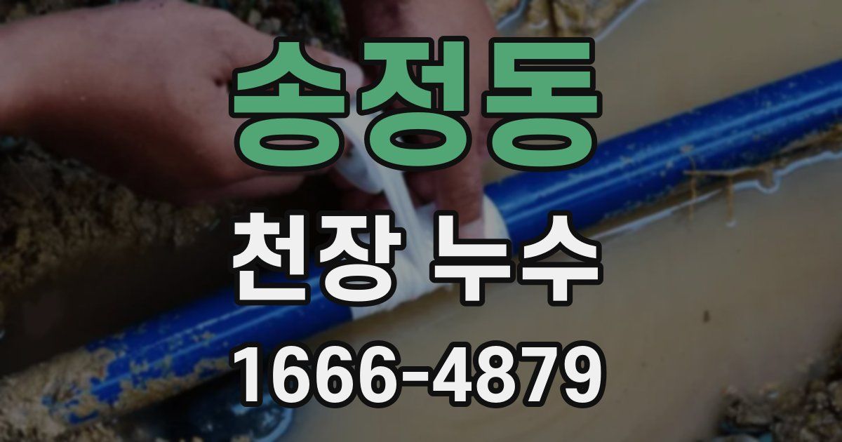 송정동 천장 누수