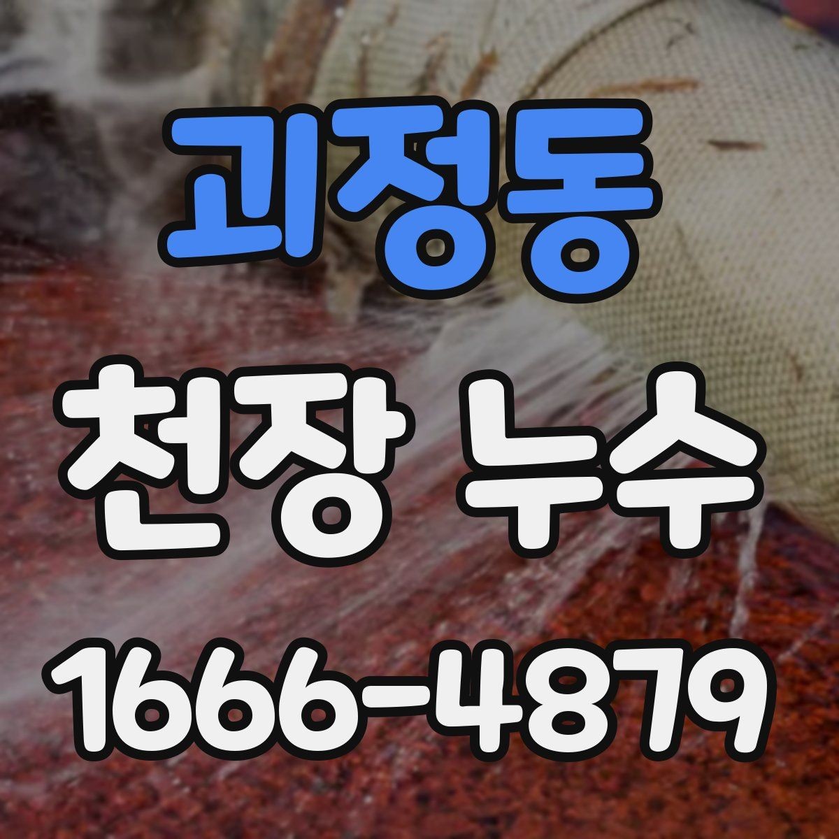 괴정동 천장 누수 배수구 역류가 천장 누수처럼 보일 수 있을까