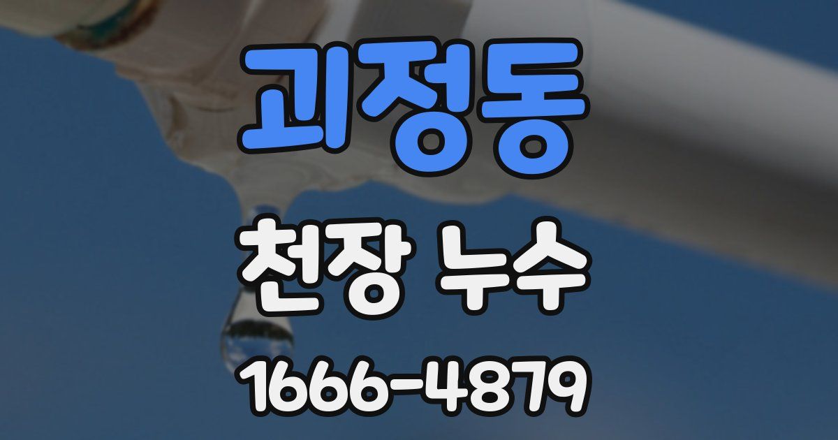 괴정동 천장 누수