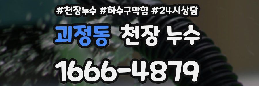 괴정동 천장 누수