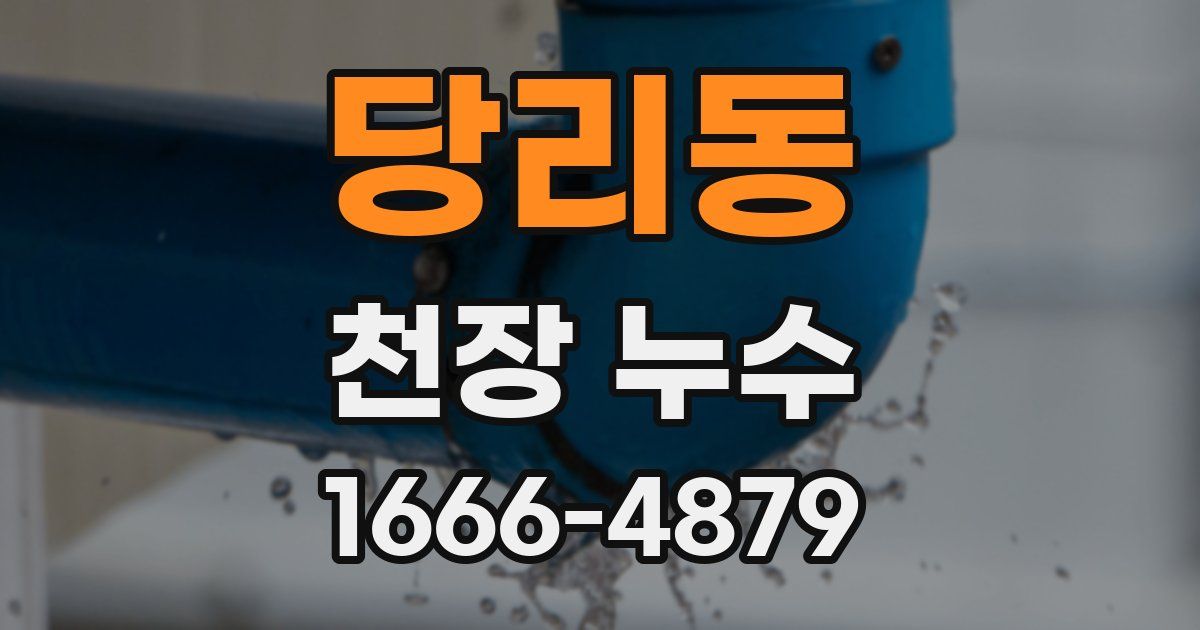 당리동 천장 누수