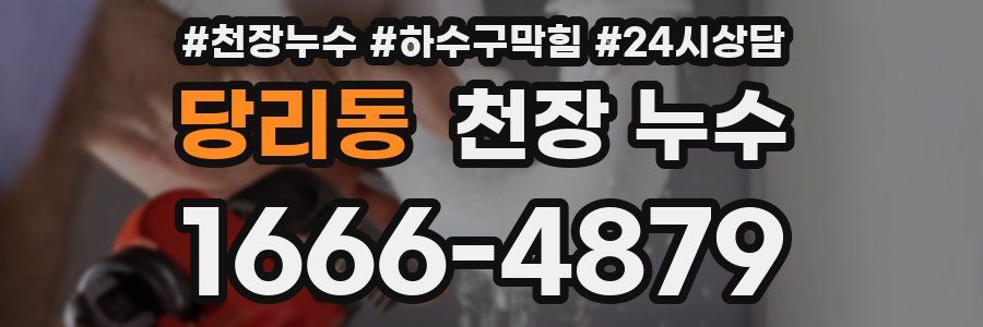 당리동 천장 누수