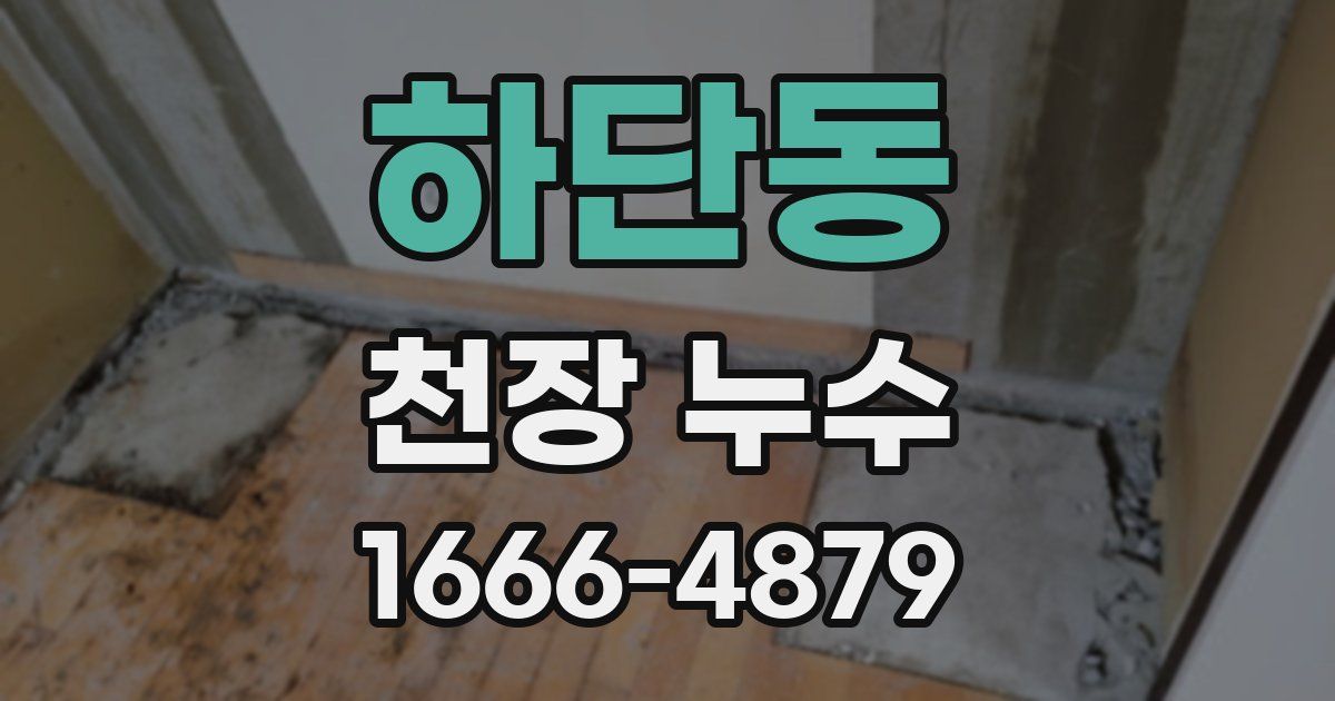 하단동 천장 누수