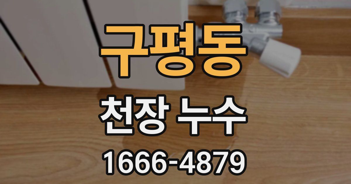 구평동 천장 누수