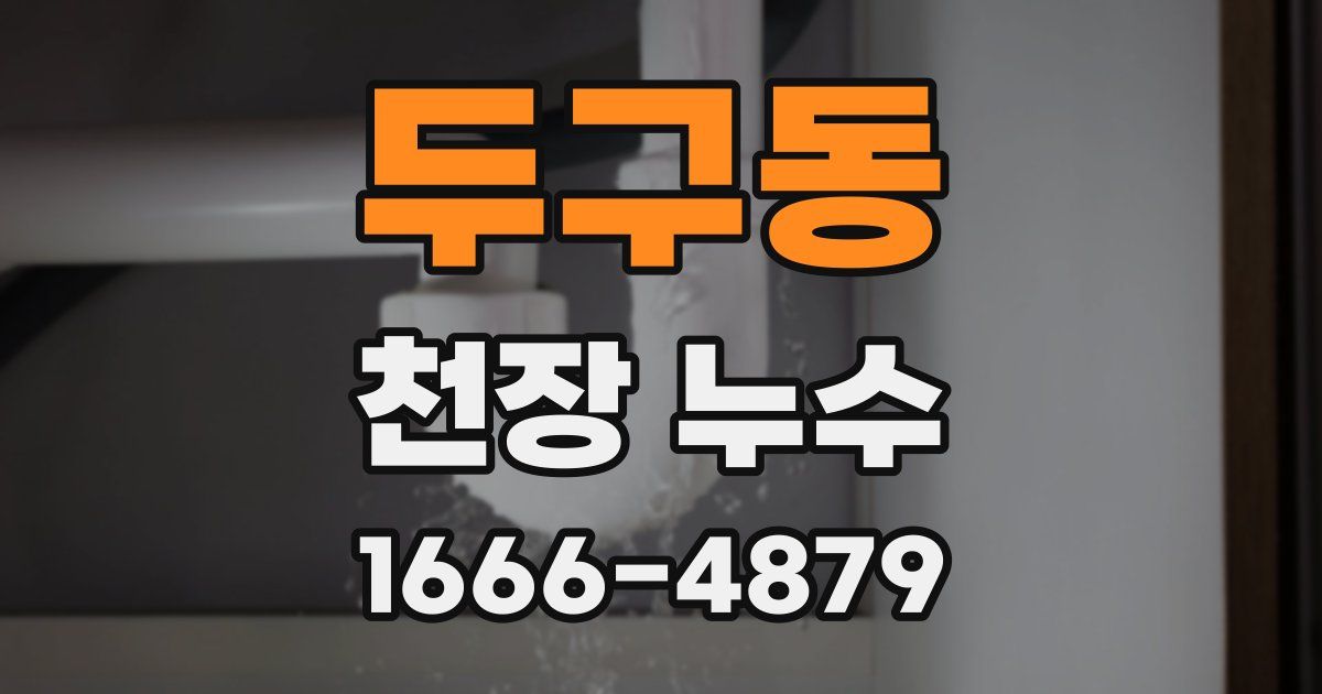 두구동 천장 누수