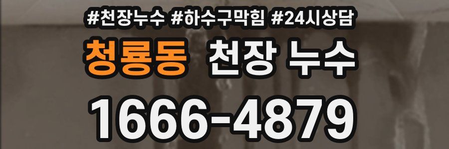 청룡동 천장 누수