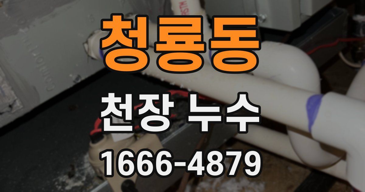 청룡동 천장 누수