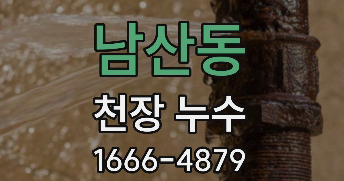 남산동 천장 누수