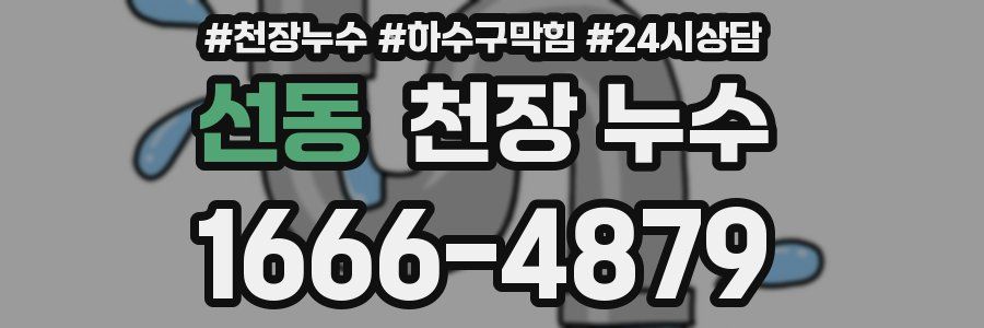 선동 천장 누수