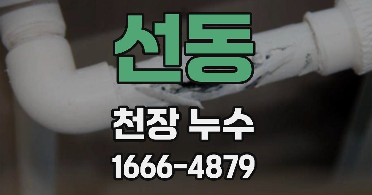 선동 천장 누수