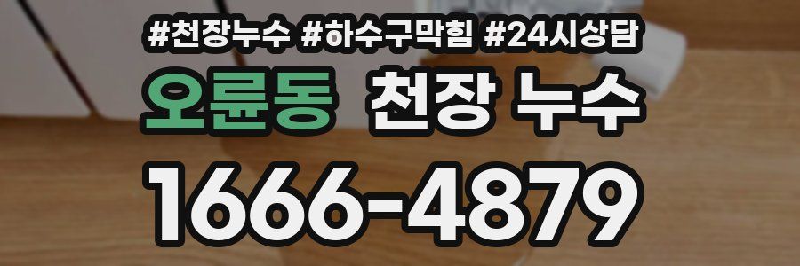 오륜동 천장 누수