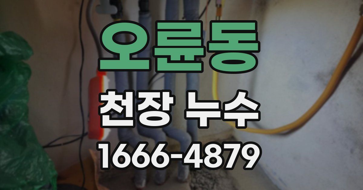 오륜동 천장 누수