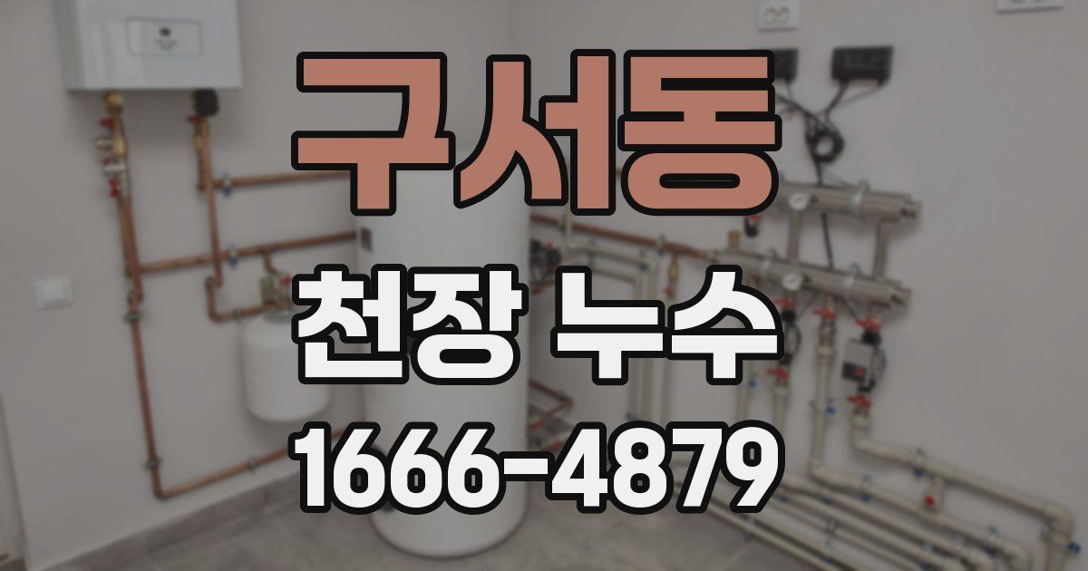 구서동 천장 누수