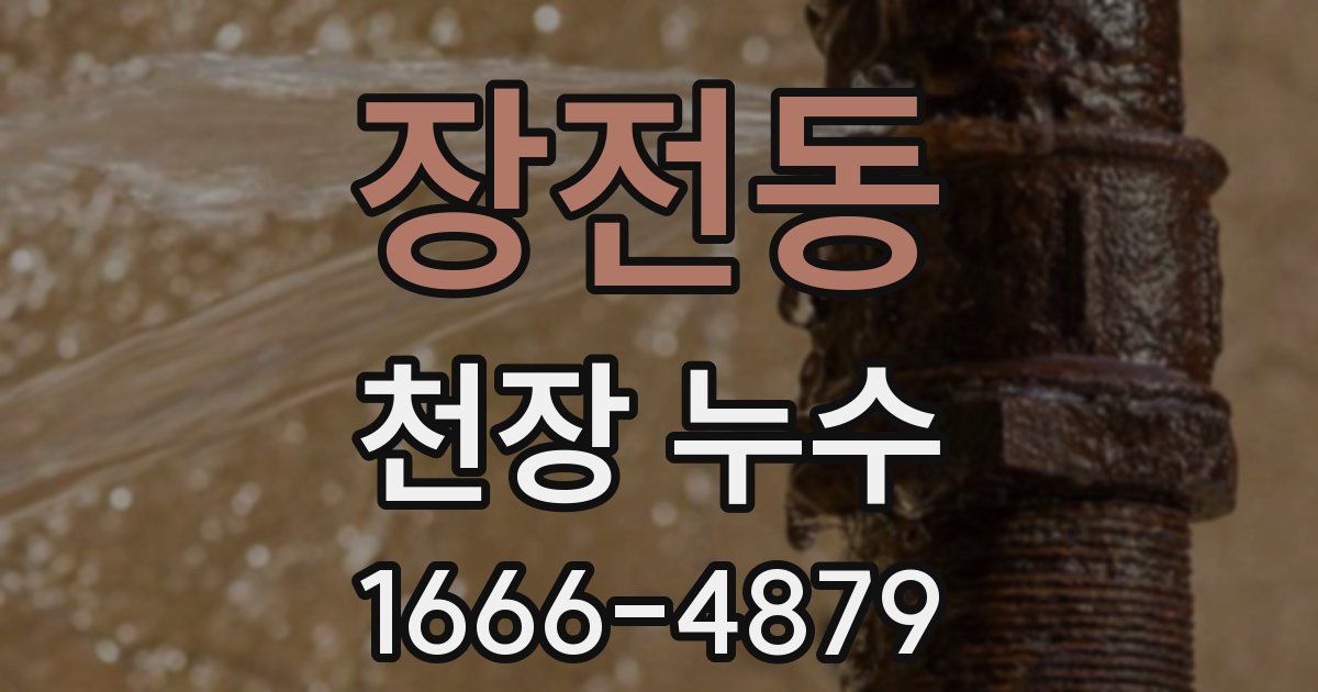 장전동 천장 누수