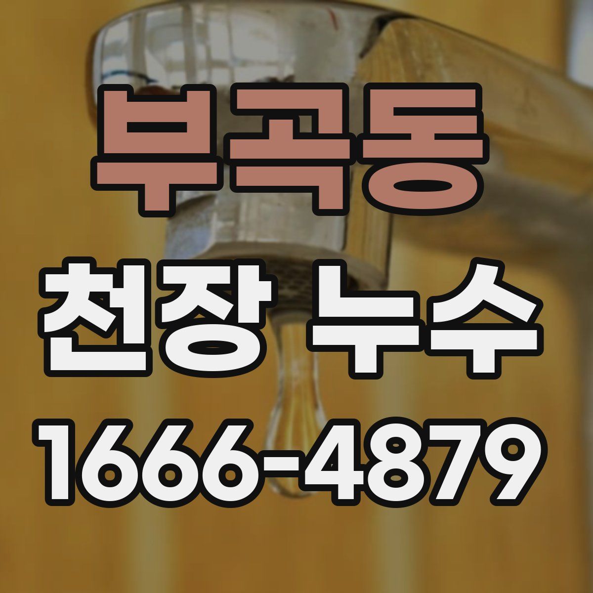 부곡동 천장 누수