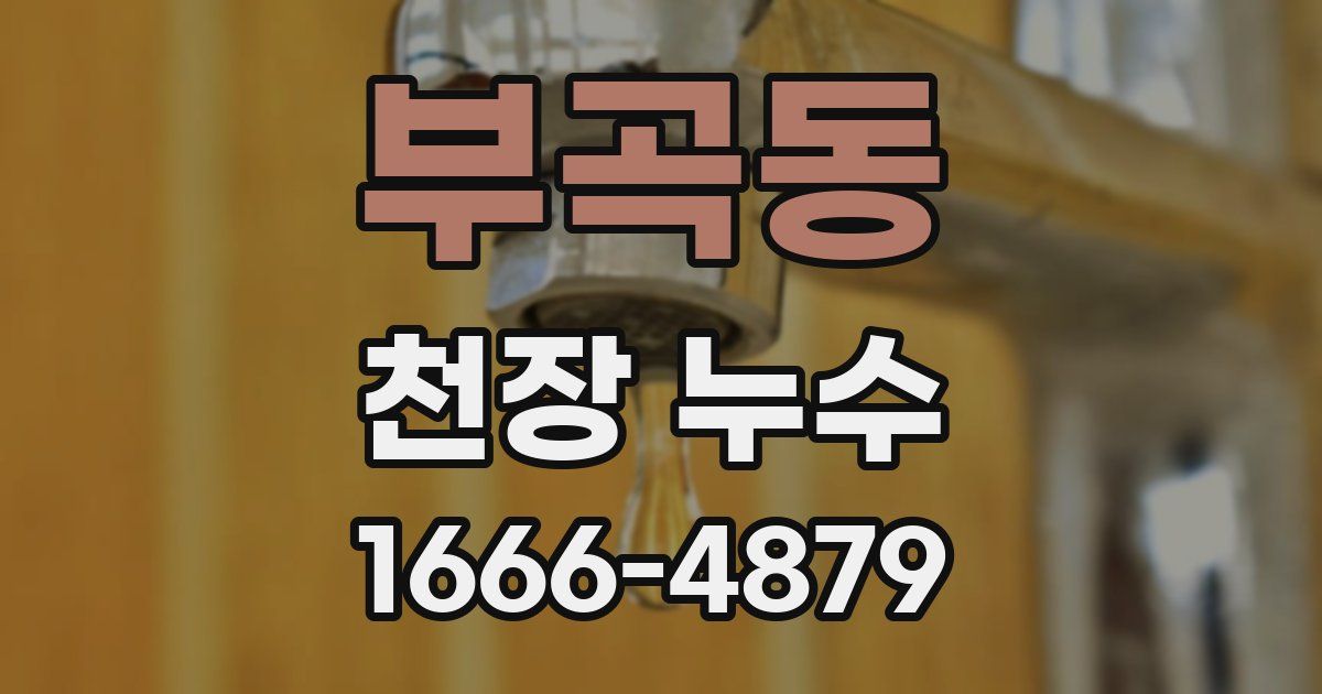 부곡동 천장 누수