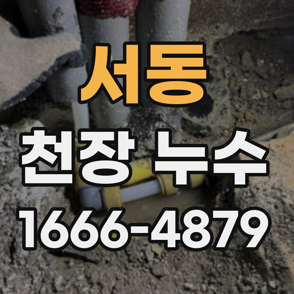 서동 천장 누수