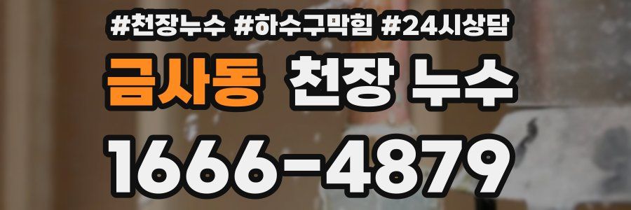 금사동 천장 누수