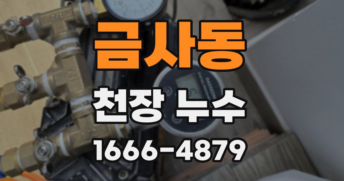 금사동 천장 누수