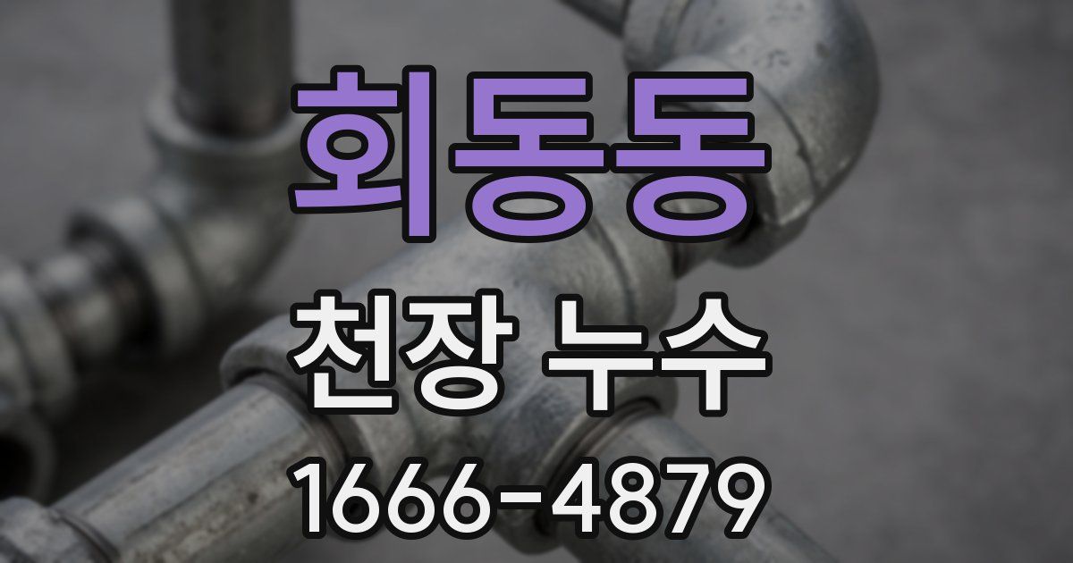 회동동 천장 누수