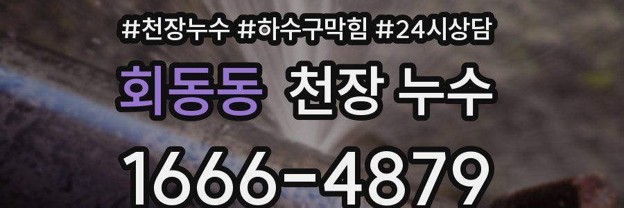 회동동 천장 누수