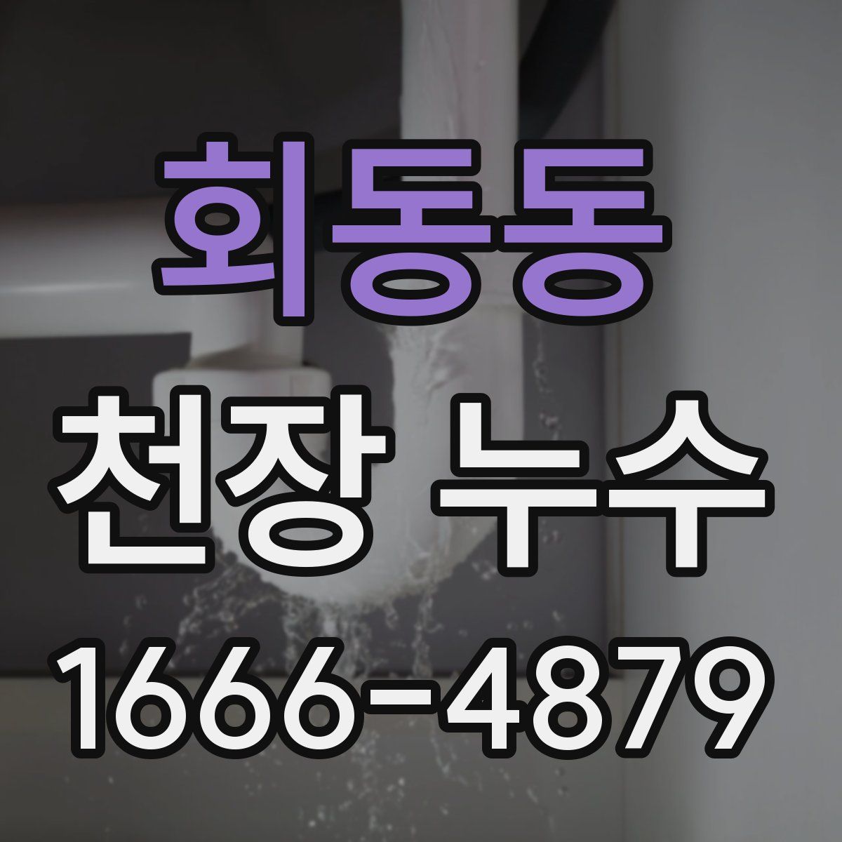 회동동 천장 누수