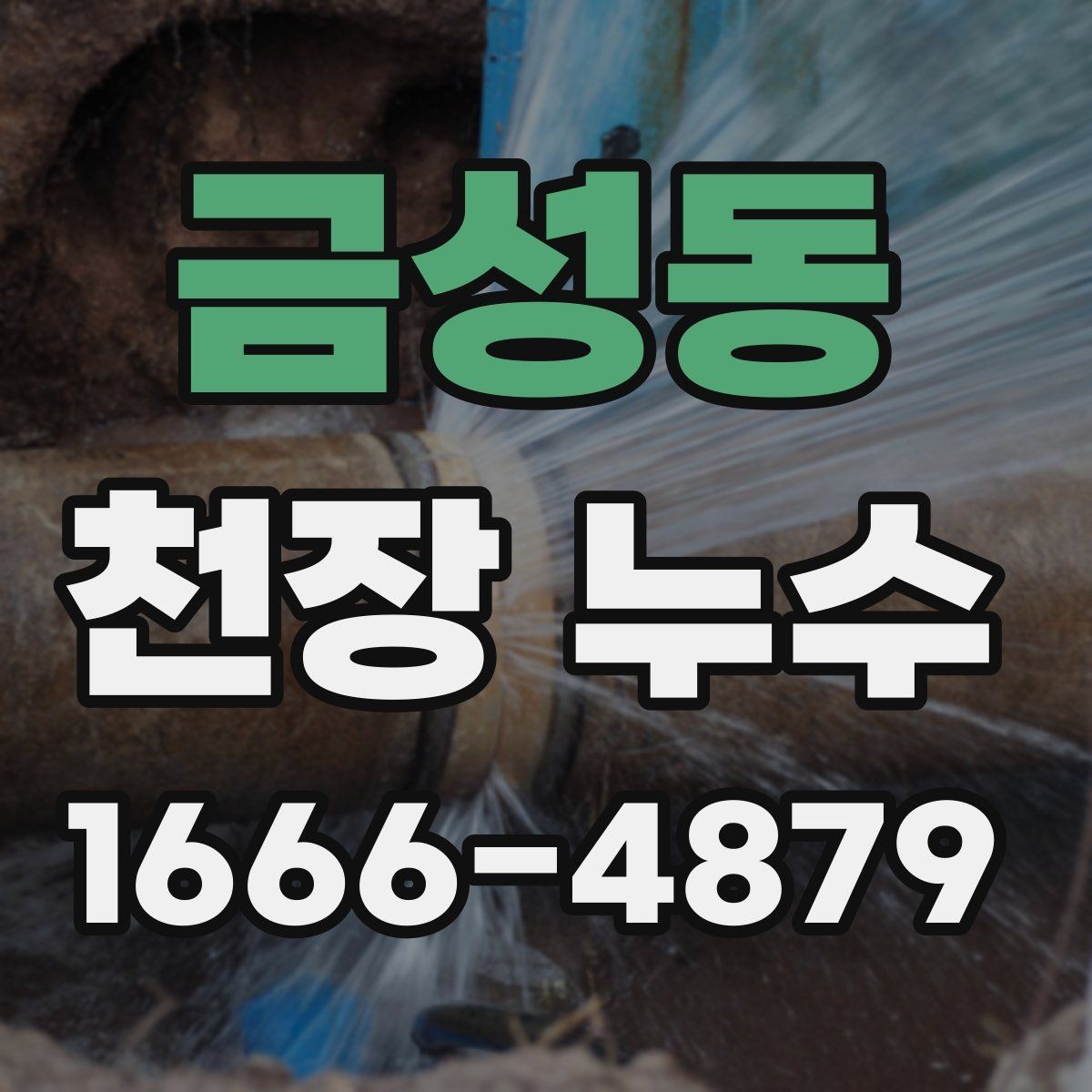 금성동 천장 누수 천장 가까이에서 퀴퀴한 냄새가 올라올 때