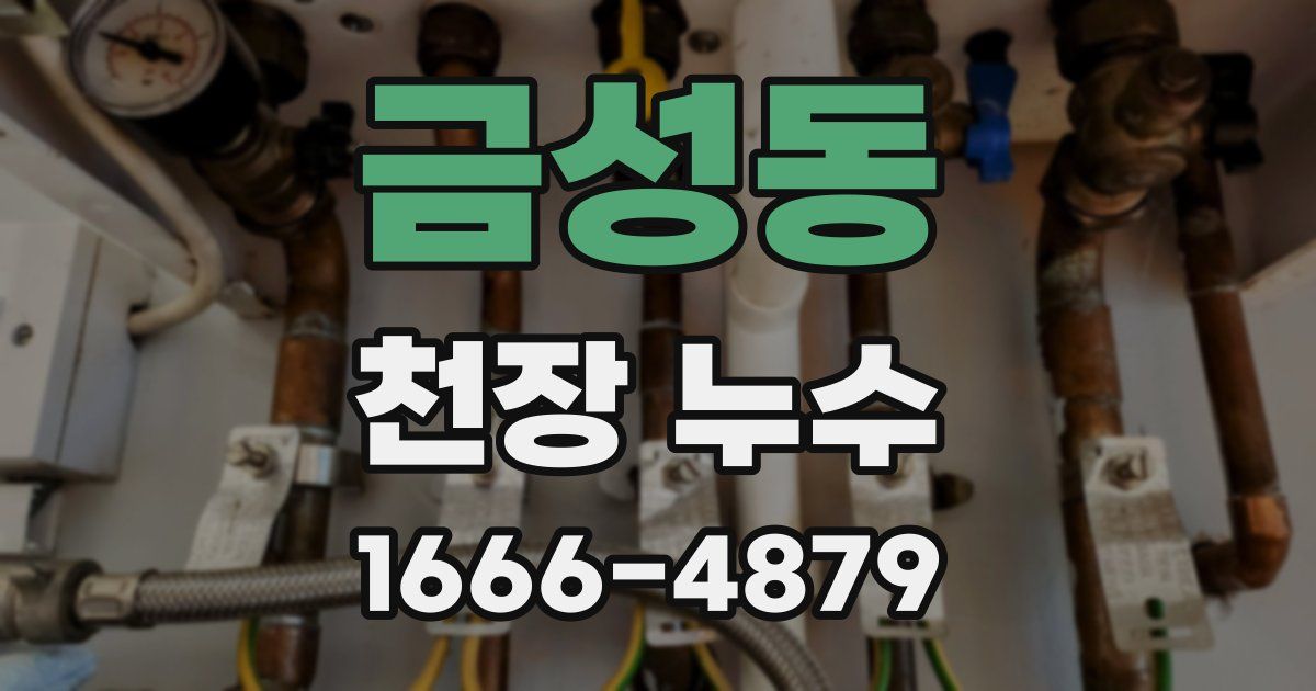 금성동 천장 누수