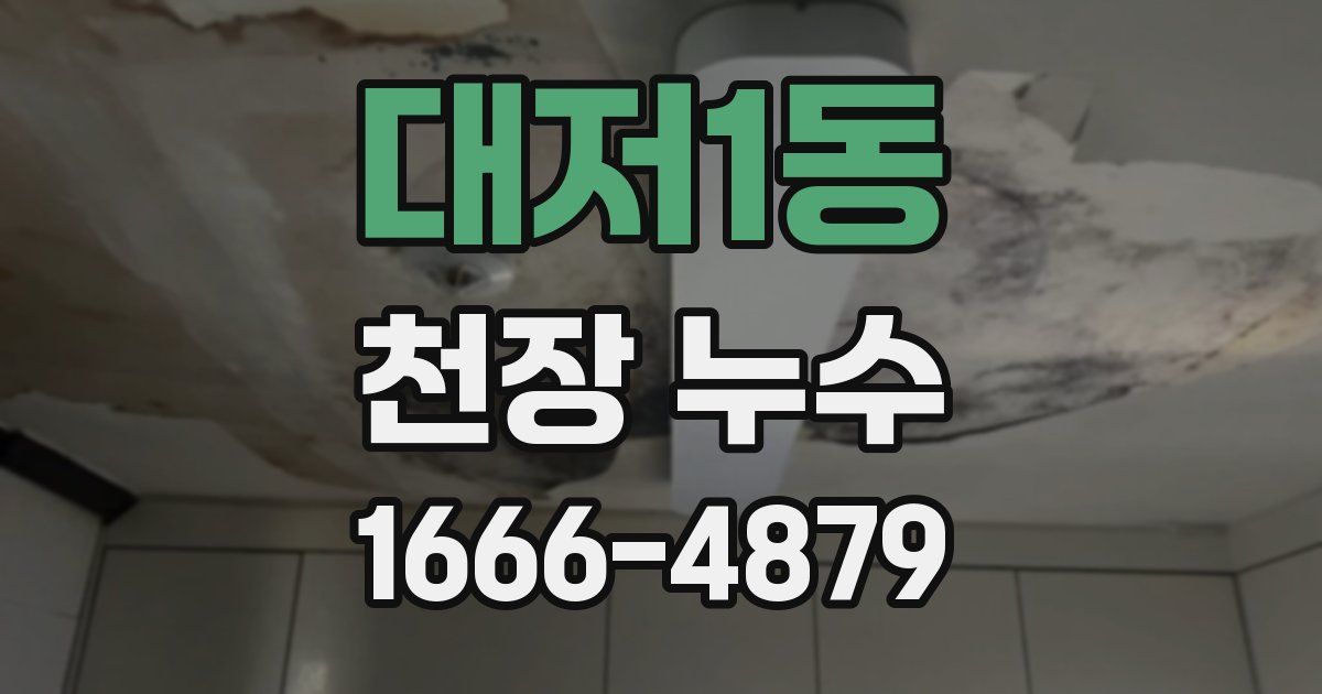 대저1동 천장 누수