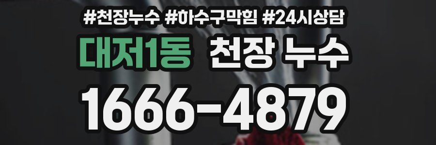 대저1동 천장 누수