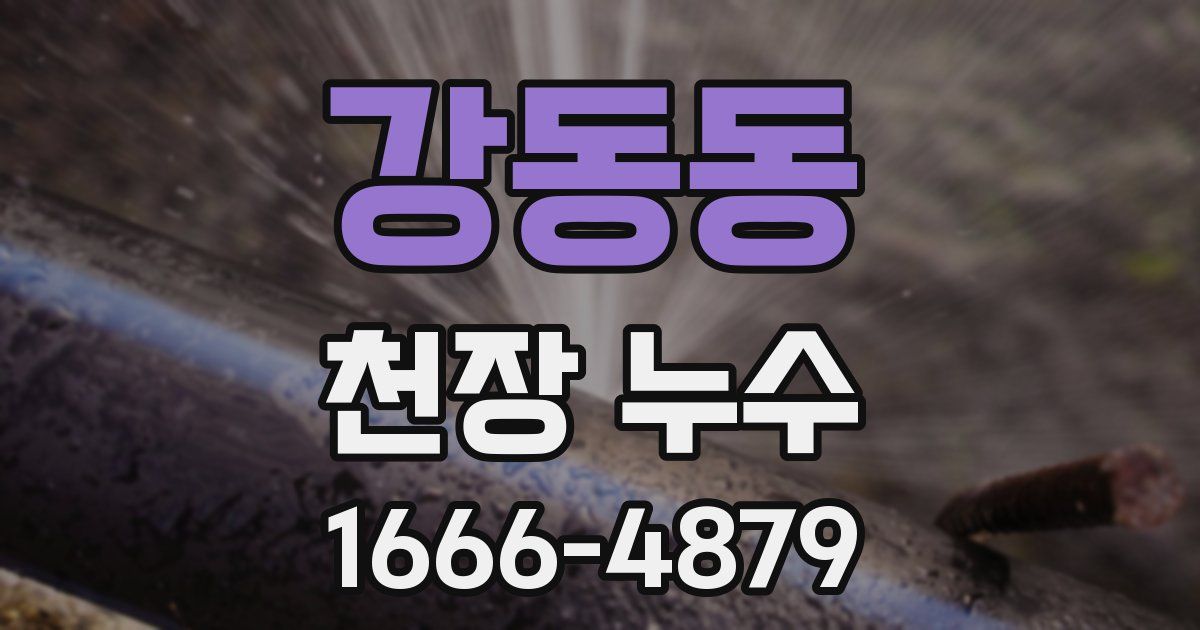 강동동 천장 누수