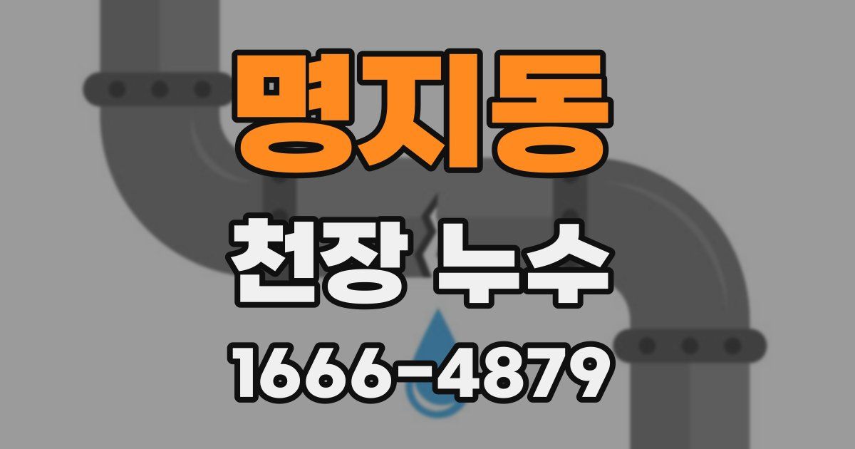 명지동 천장 누수