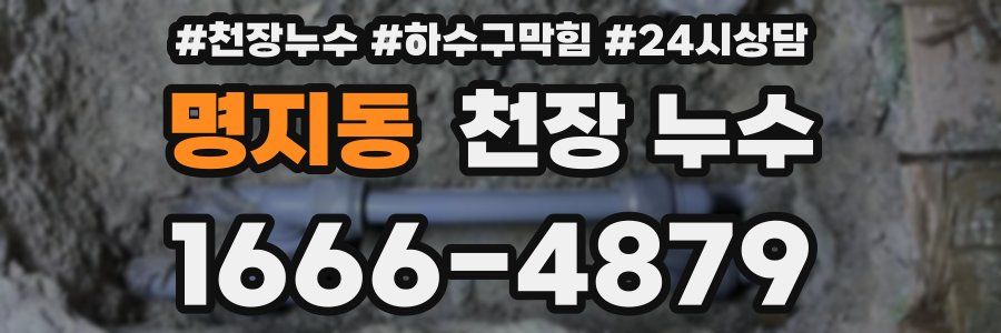 명지동 천장 누수