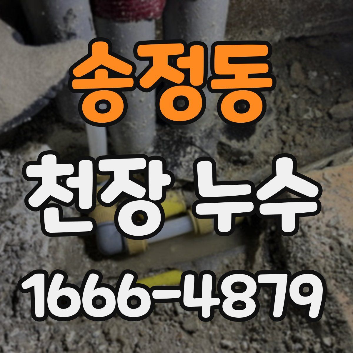 송정동 천장 누수