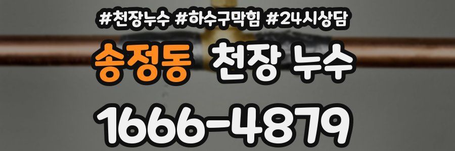 송정동 천장 누수