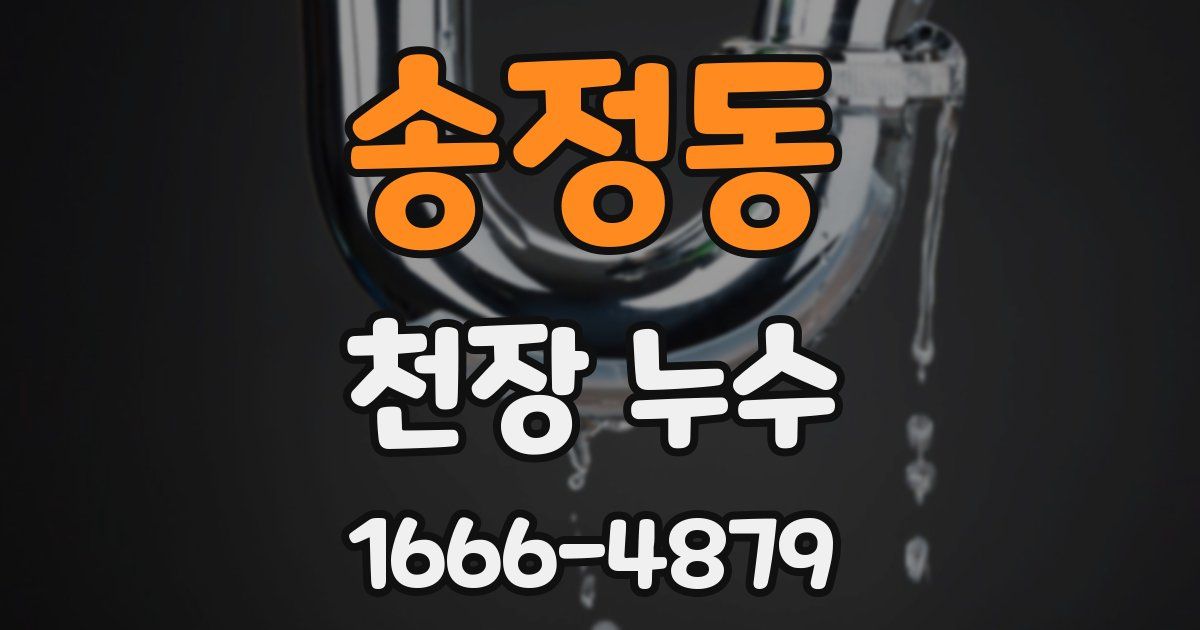 송정동 천장 누수