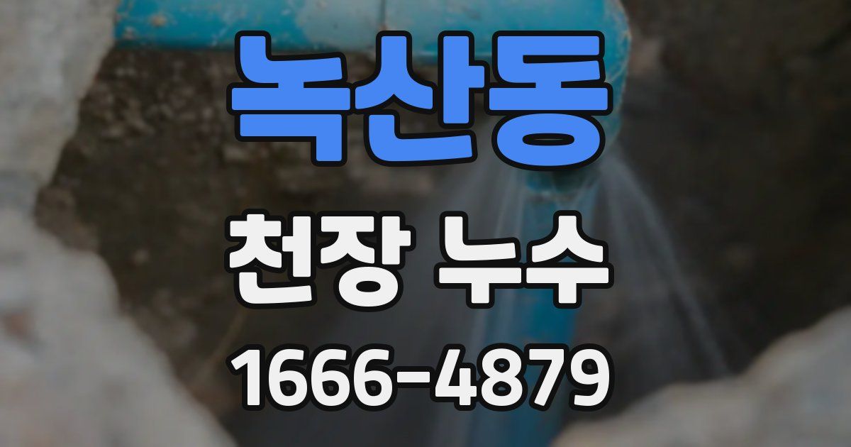 녹산동 천장 누수