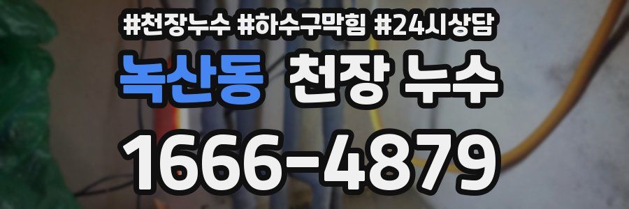 녹산동 천장 누수