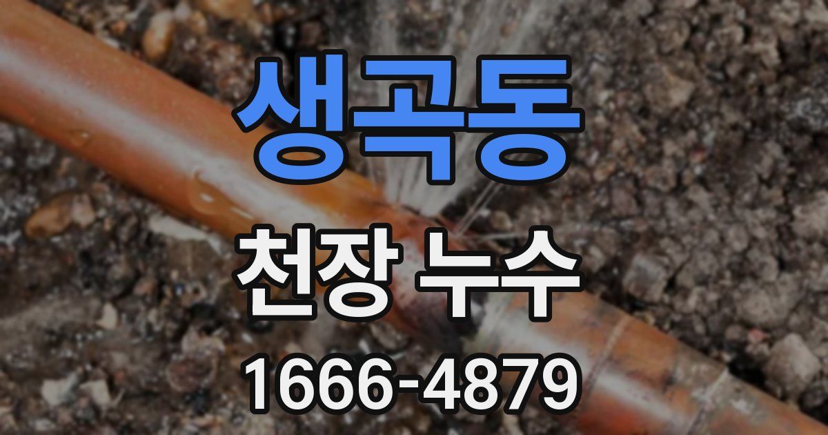 생곡동 천장 누수