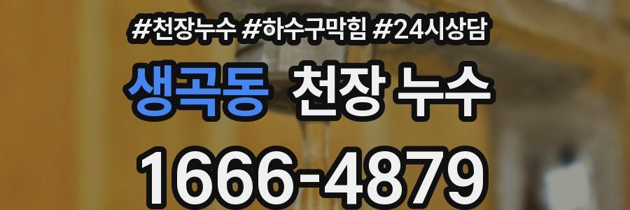 생곡동 천장 누수