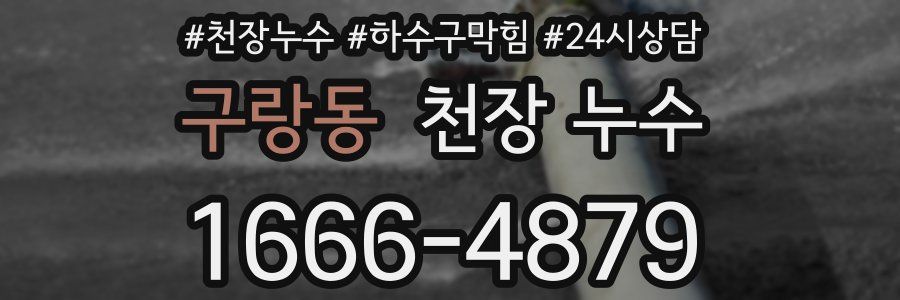 구랑동 천장 누수