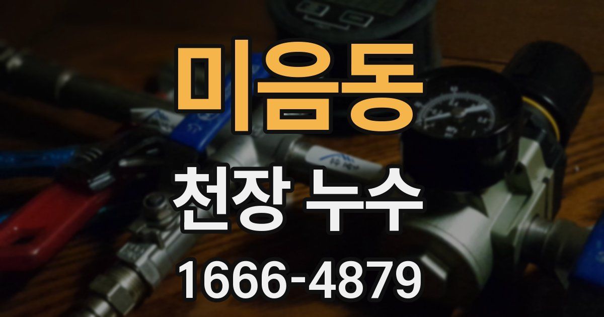 미음동 천장 누수