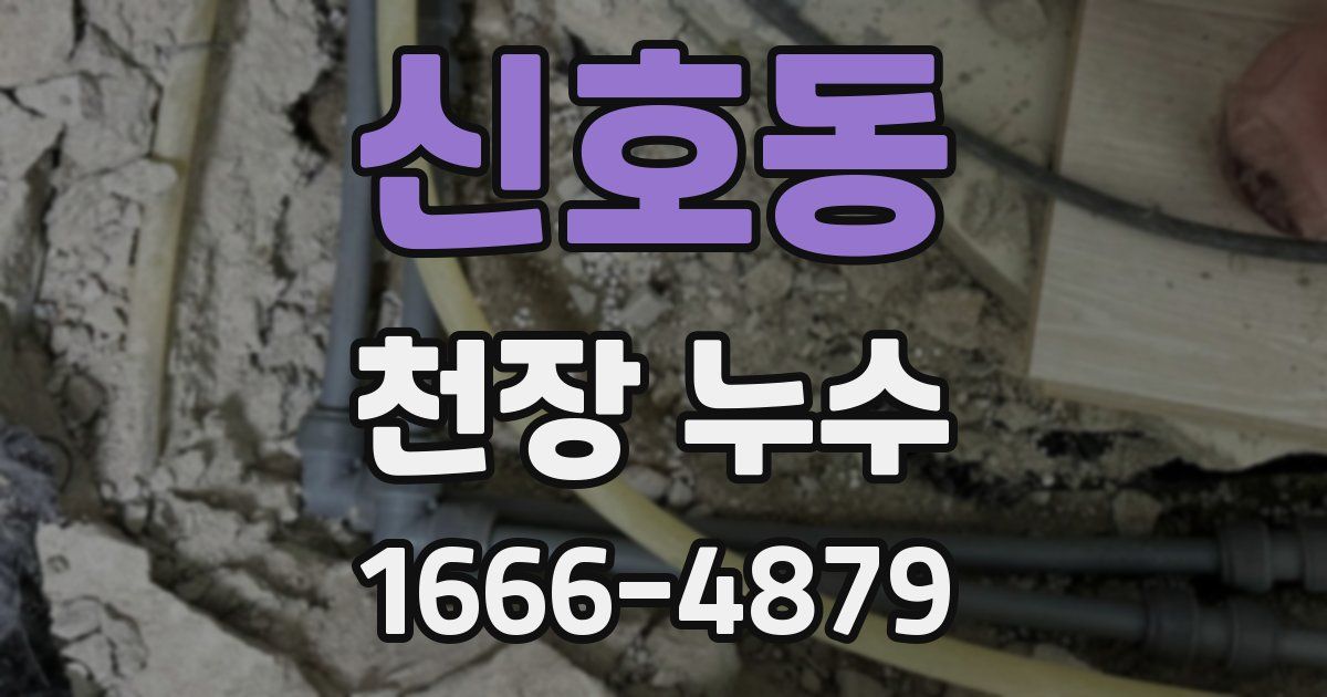 신호동 천장 누수