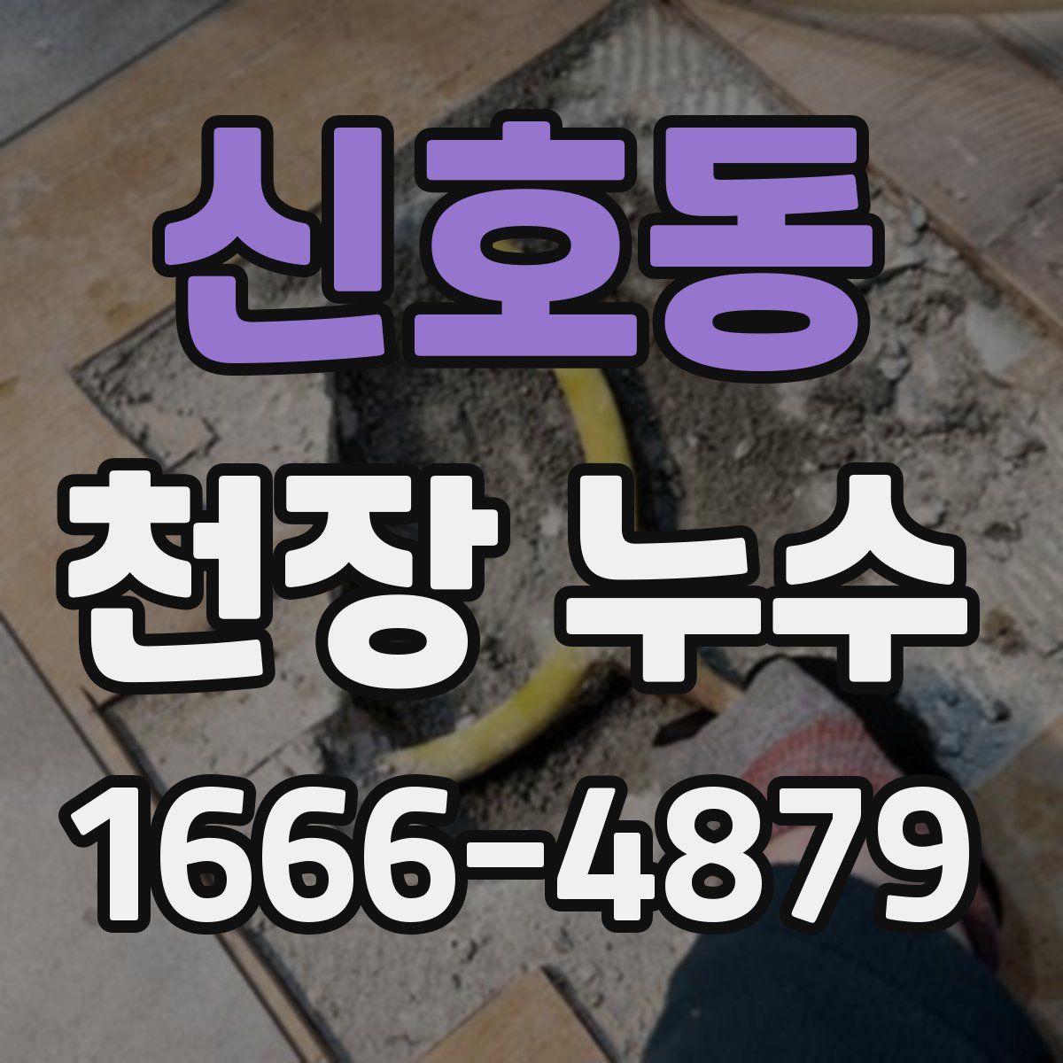 신호동 천장 누수