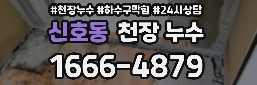 신호동 천장 누수