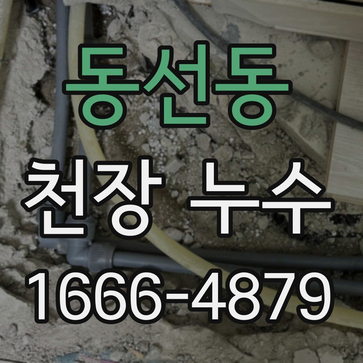 동선동 천장 누수 욕실 천장 물방울이 생기는 이유를 정리