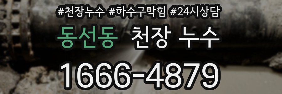 동선동 천장 누수